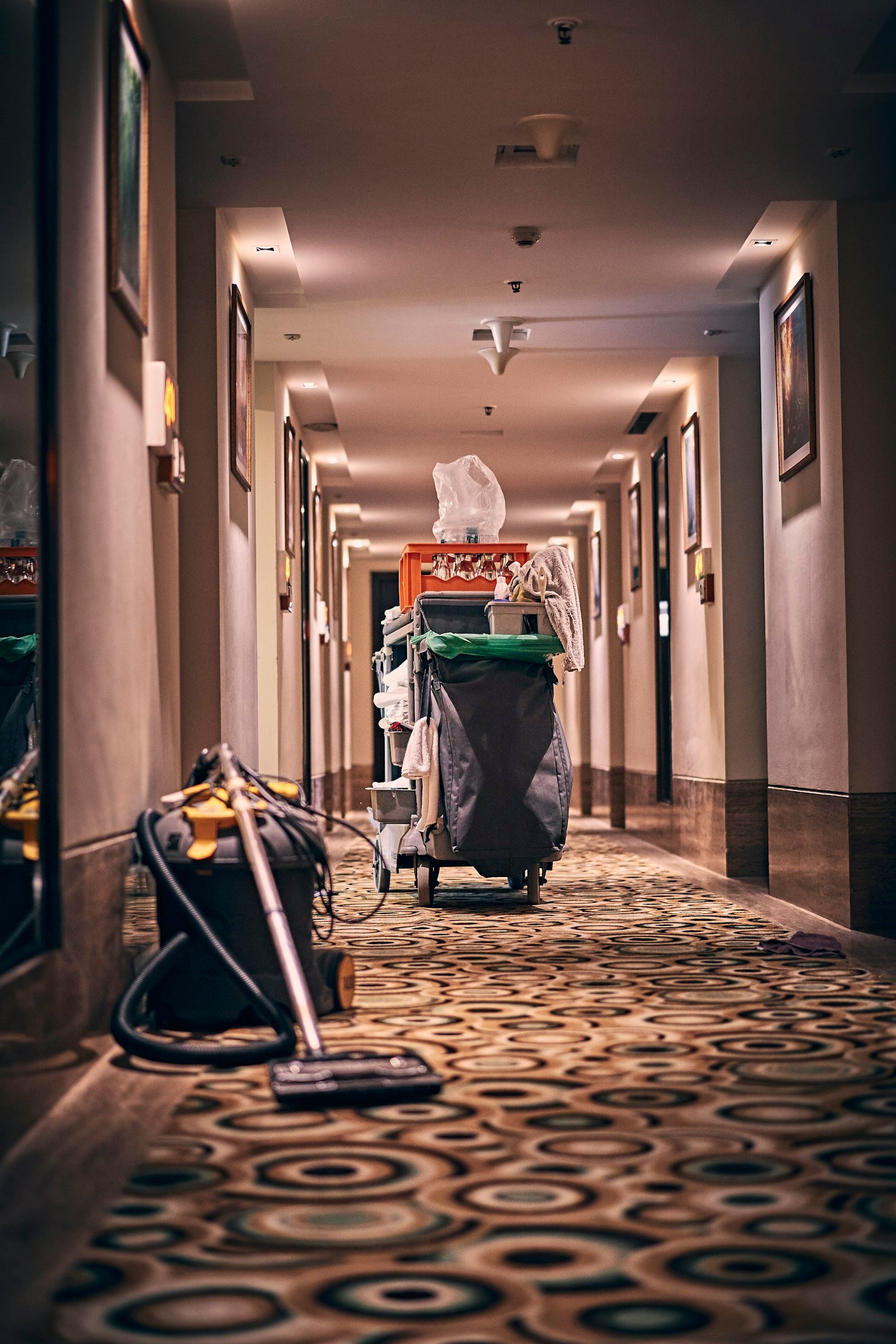 Apartment building corridor carpet showing traffic lane wear before cleaning