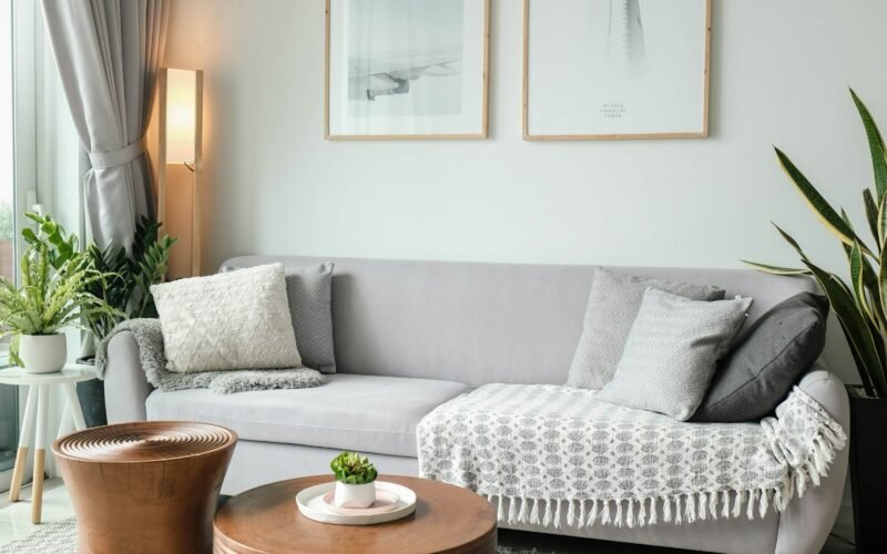 Bright family living room with freshly cleaned carpet and natural light
