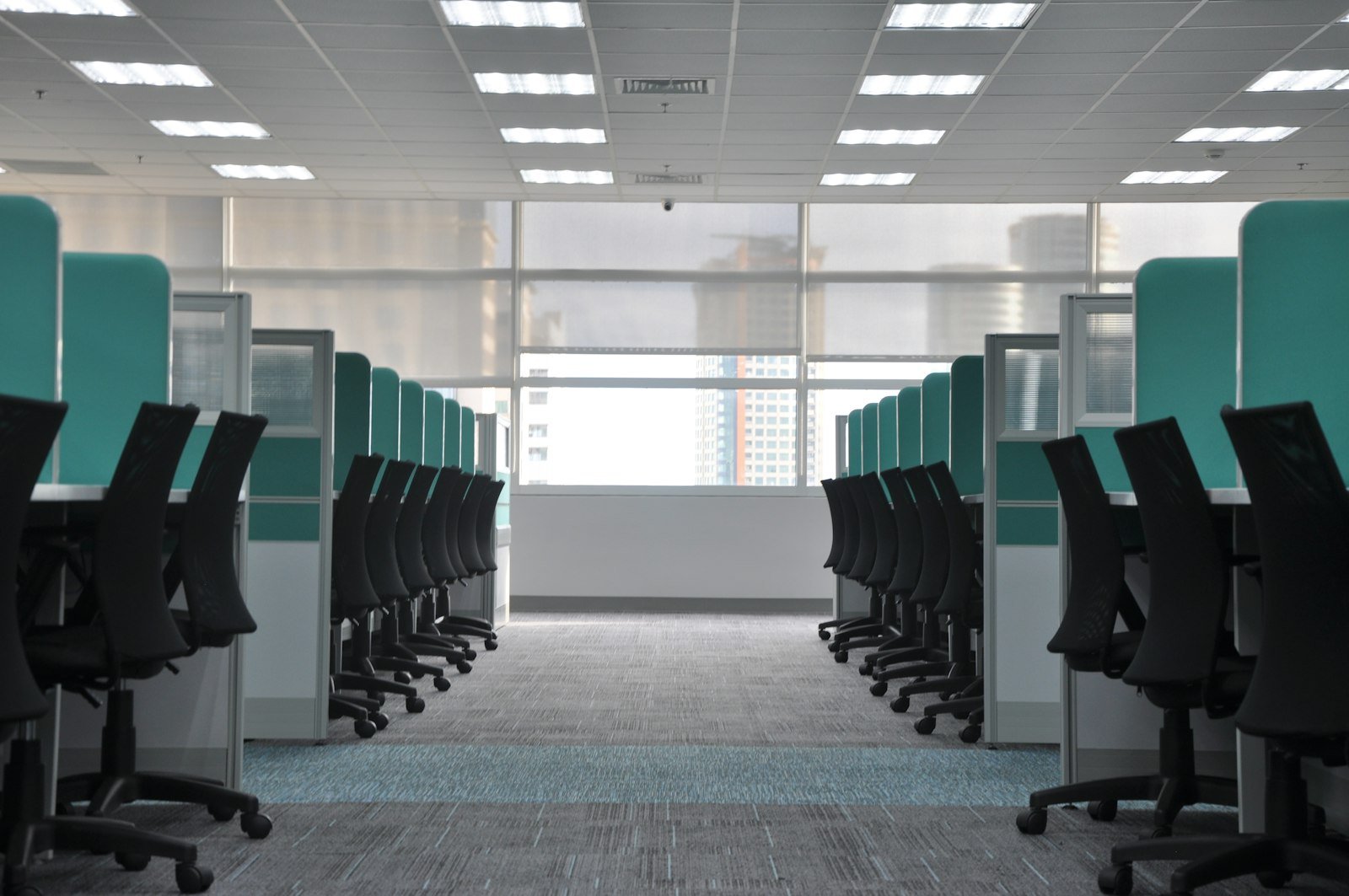 Open plan office with rows of workstations on freshly cleaned commercial carpet